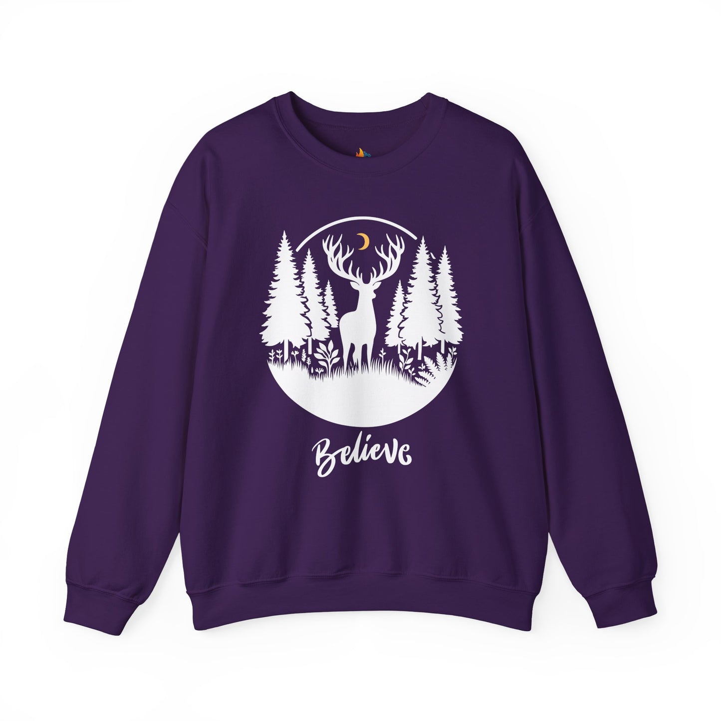 Believe, Christmas Sweatshirt, Unisex Crewneck, Holiday Season Outfit, Winter Sweatshirt