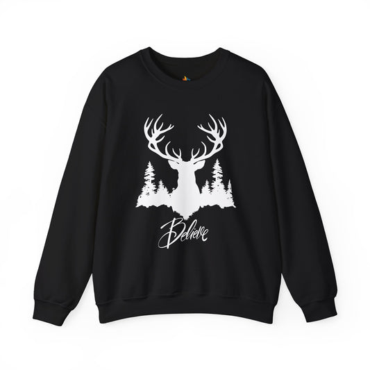 Believe, Christmas Sweatshirt, Unisex Crewneck, Holiday Season Outfit, Winter Sweatshirt